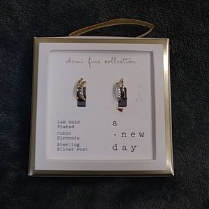 14k Gold Plated Earrings